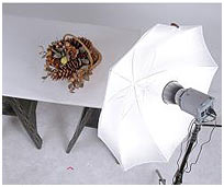 Фотозонты цена выбрать применение фото зонтов